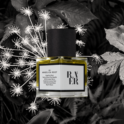Raer 09：Angelica Root