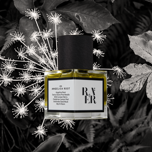 Raer 09：Angelica Root
