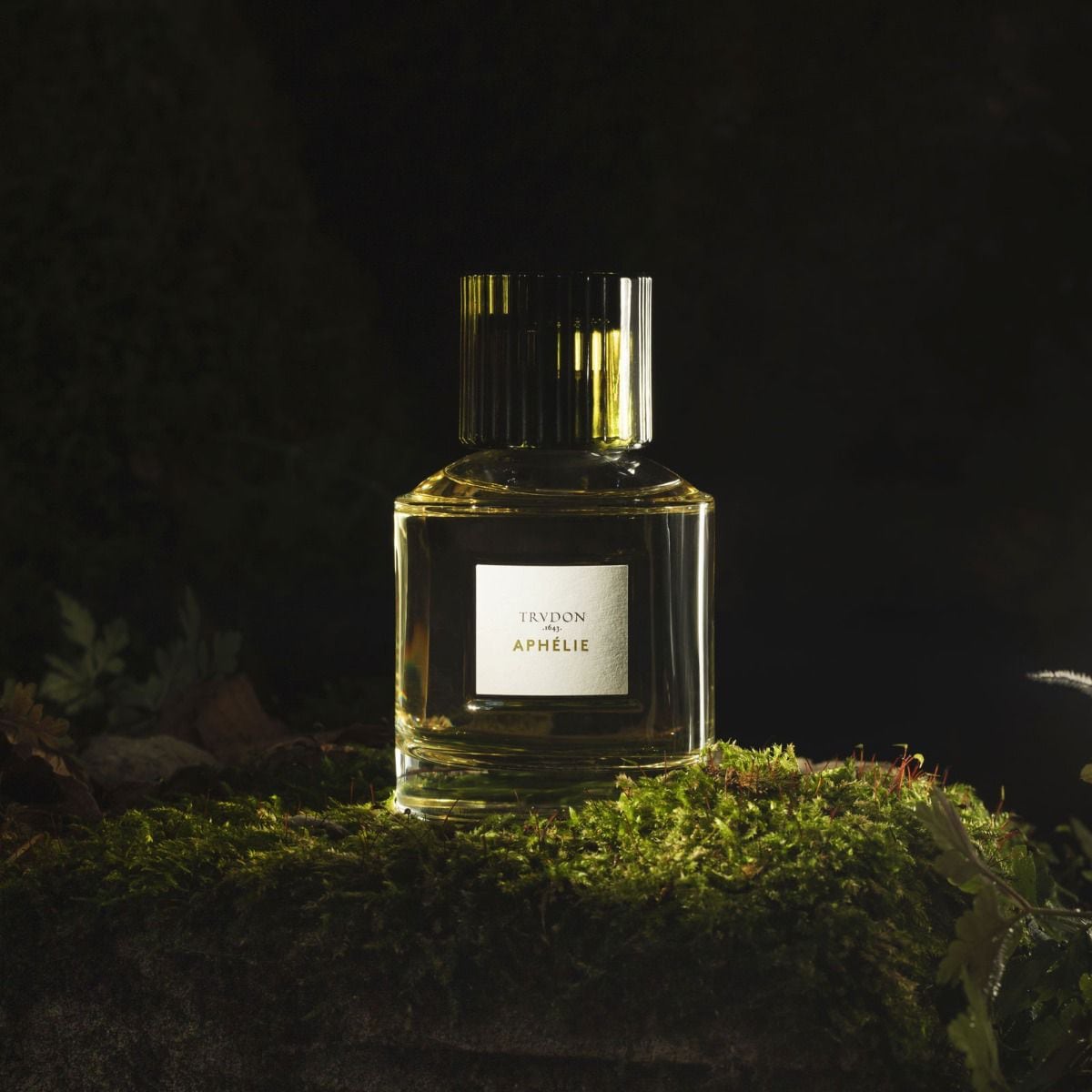 TRUDON – LE SILLAGE FRAGRANCE SHOP KYOTO