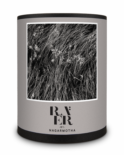Raer 01：Nagarmotha