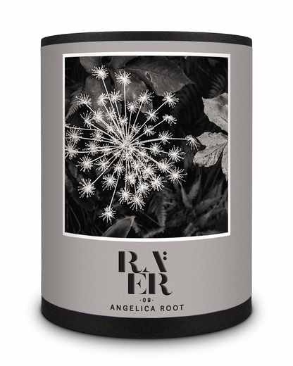Raer 09：Angelica Root