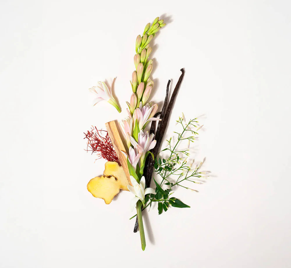 TUBÉREUSE NUIT BLANCHE