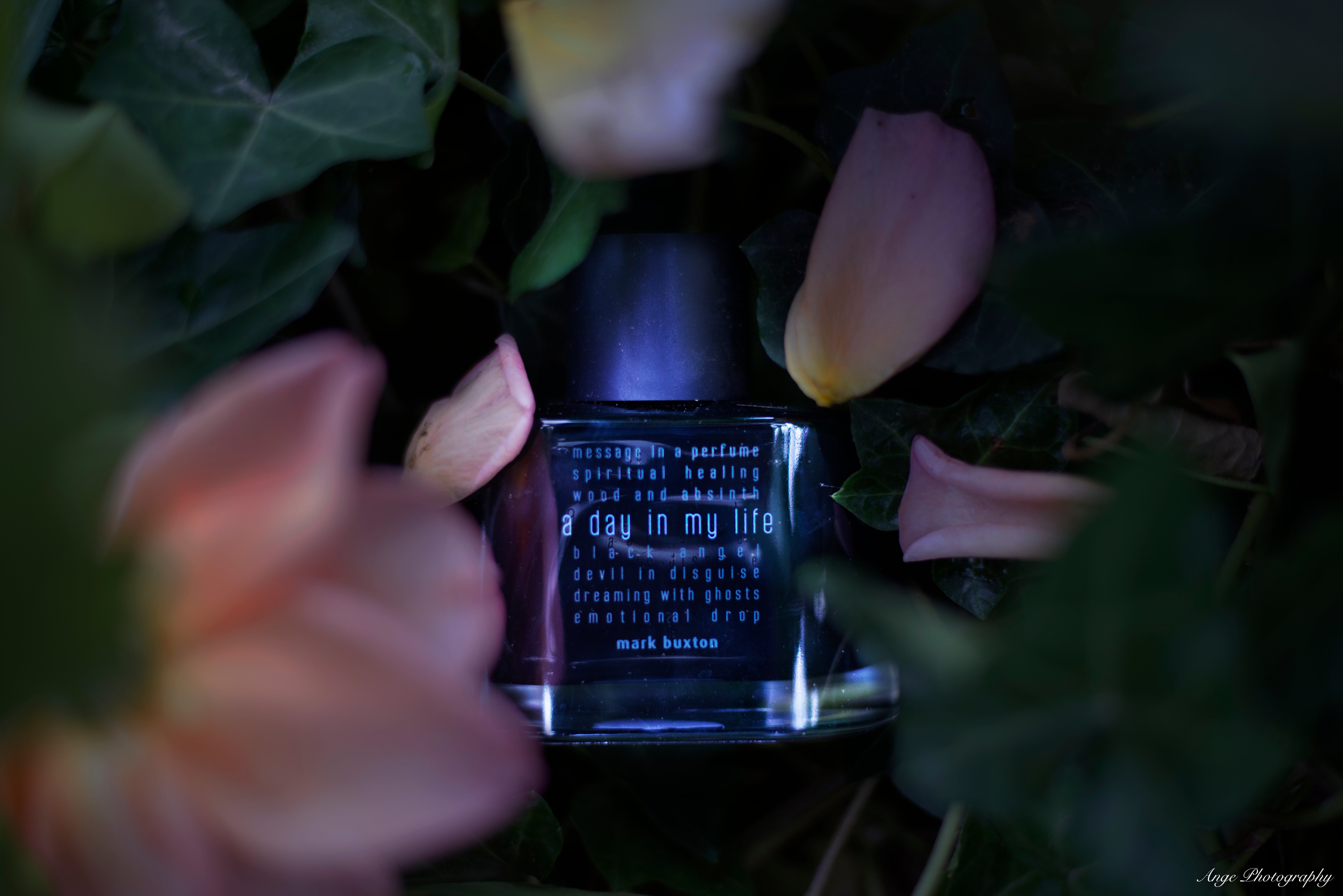A day in my life – LE SILLAGE FRAGRANCE SHOP KYOTO
