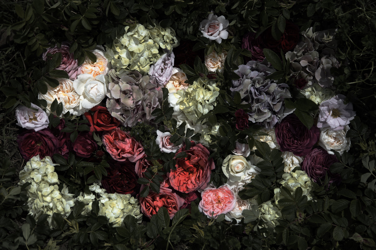 光る大地/Hikarudaichi