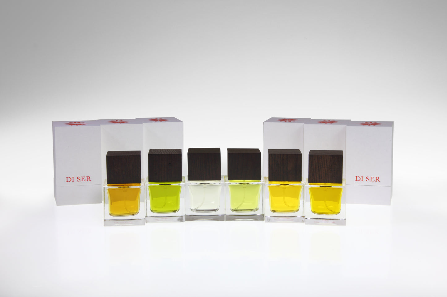 光る大地/Hikarudaichi